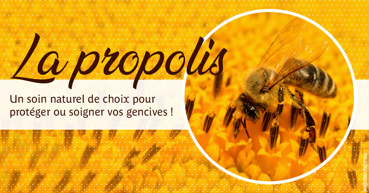 https://www.drigalnahmias.fr/La PROPOLIS