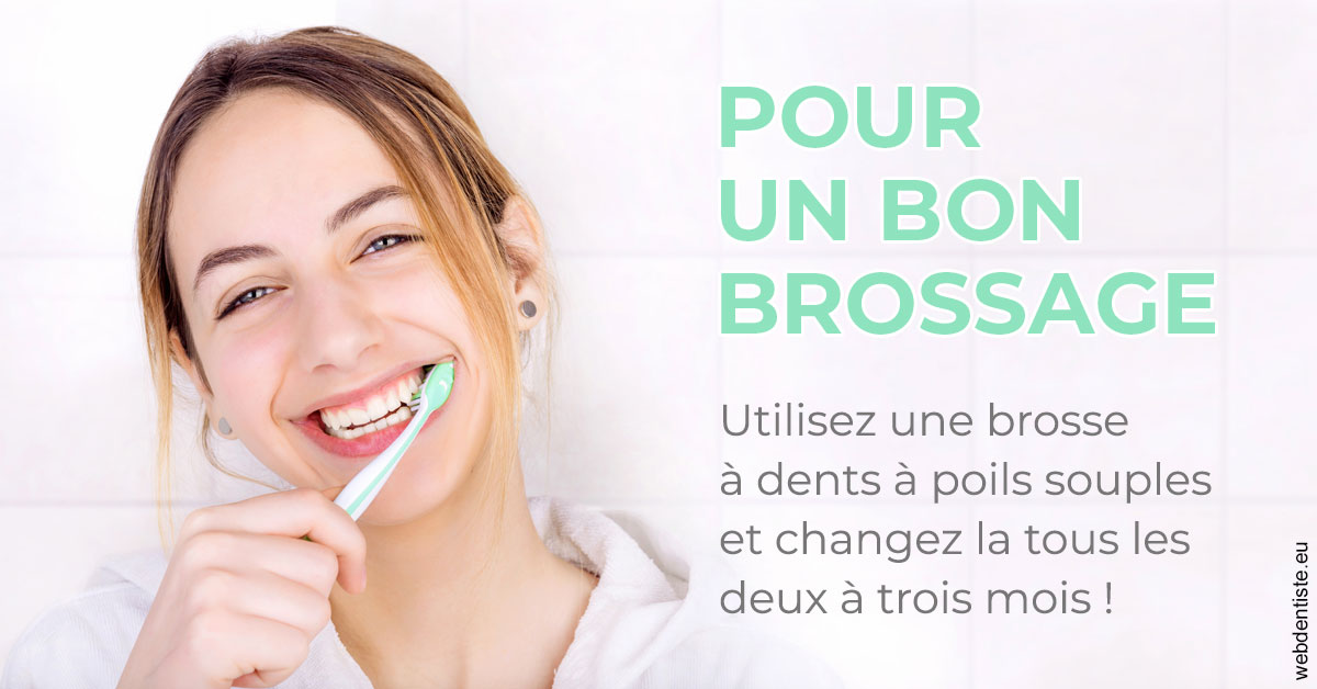 https://www.drigalnahmias.fr/Pour un bon brossage 2