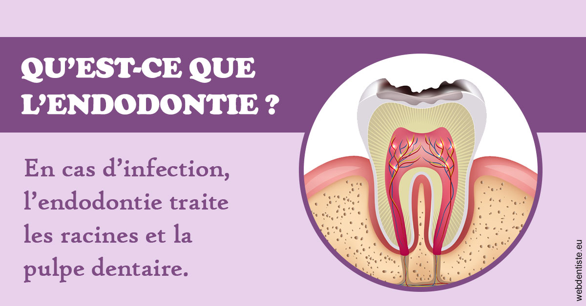 https://www.drigalnahmias.fr/2024 T1 - Endodontie 02