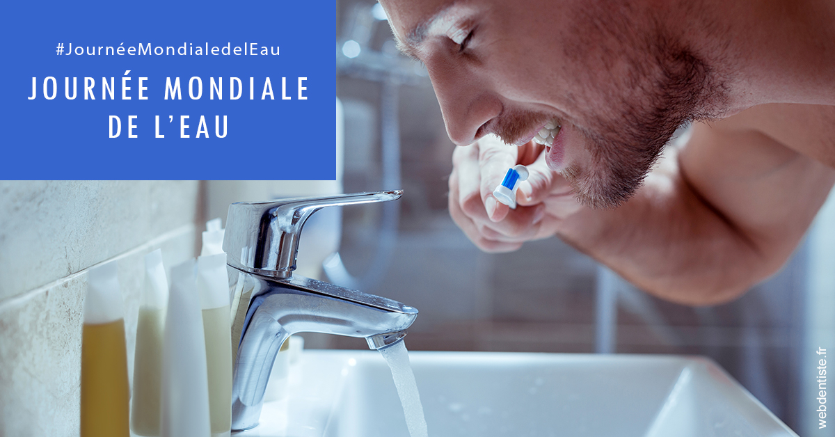 https://www.drigalnahmias.fr/Journée de l'eau 2