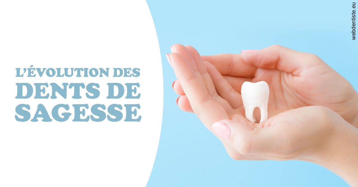 https://www.drigalnahmias.fr/Evolution dents de sagesse 1