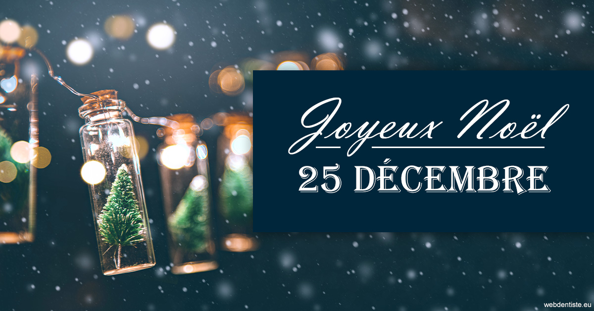 https://www.drigalnahmias.fr/2023 T4 - Joyeux Noël 01