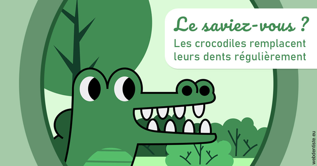 https://www.drigalnahmias.fr/Crocodiles 2