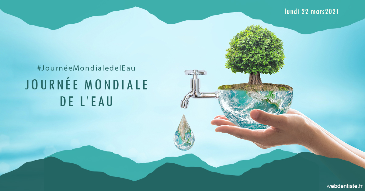 https://www.drigalnahmias.fr/Journée de l'eau 1
