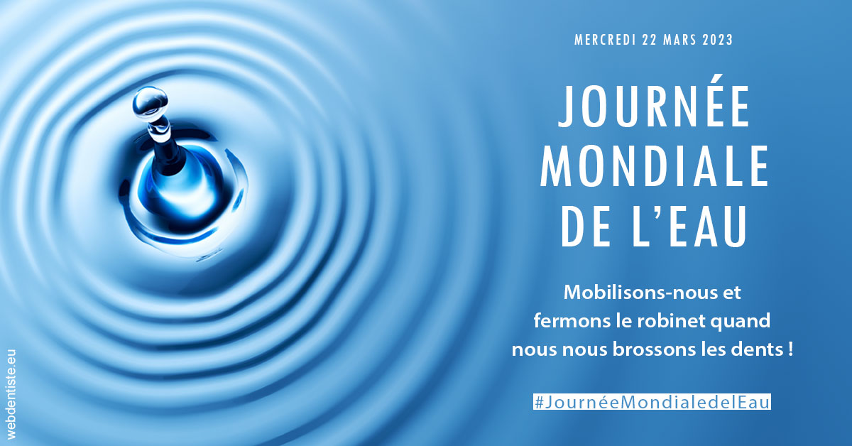 https://www.drigalnahmias.fr/Journée de l'eau 2023 1