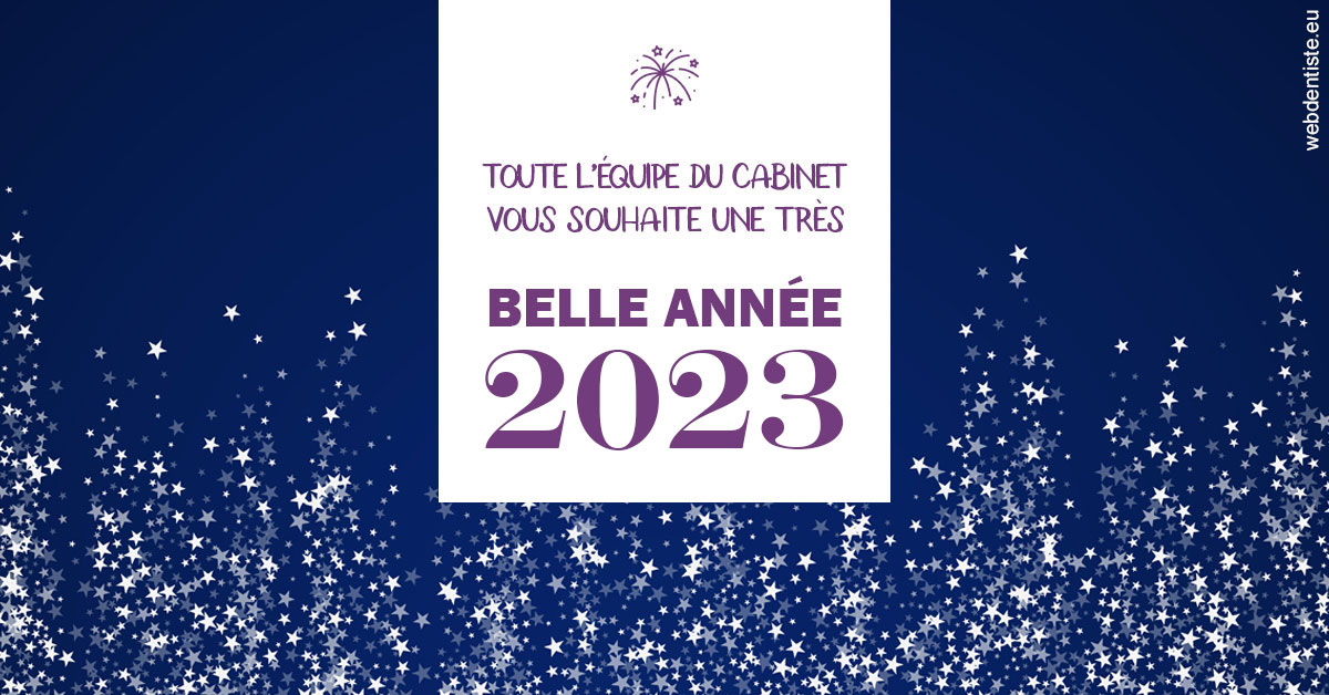 https://www.drigalnahmias.fr/Bonne année 2023 2