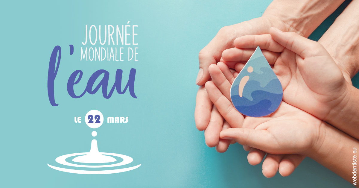 https://www.drigalnahmias.fr/La journée de l'eau 1