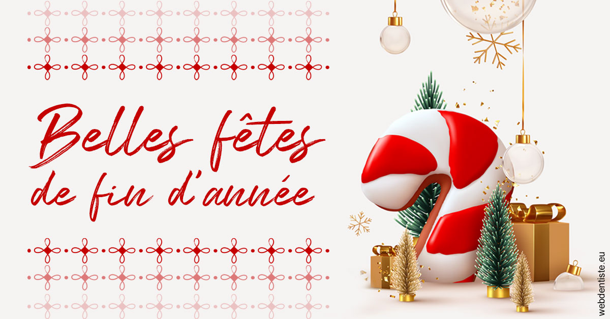 https://www.drigalnahmias.fr/Noël 1