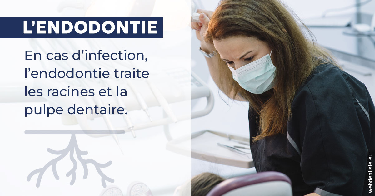 https://www.drigalnahmias.fr/L'endodontie 1