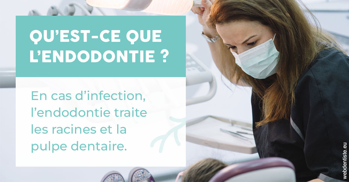 https://www.drigalnahmias.fr/2024 T1 - Endodontie 01