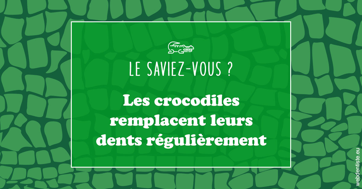 https://www.drigalnahmias.fr/Crocodiles 1