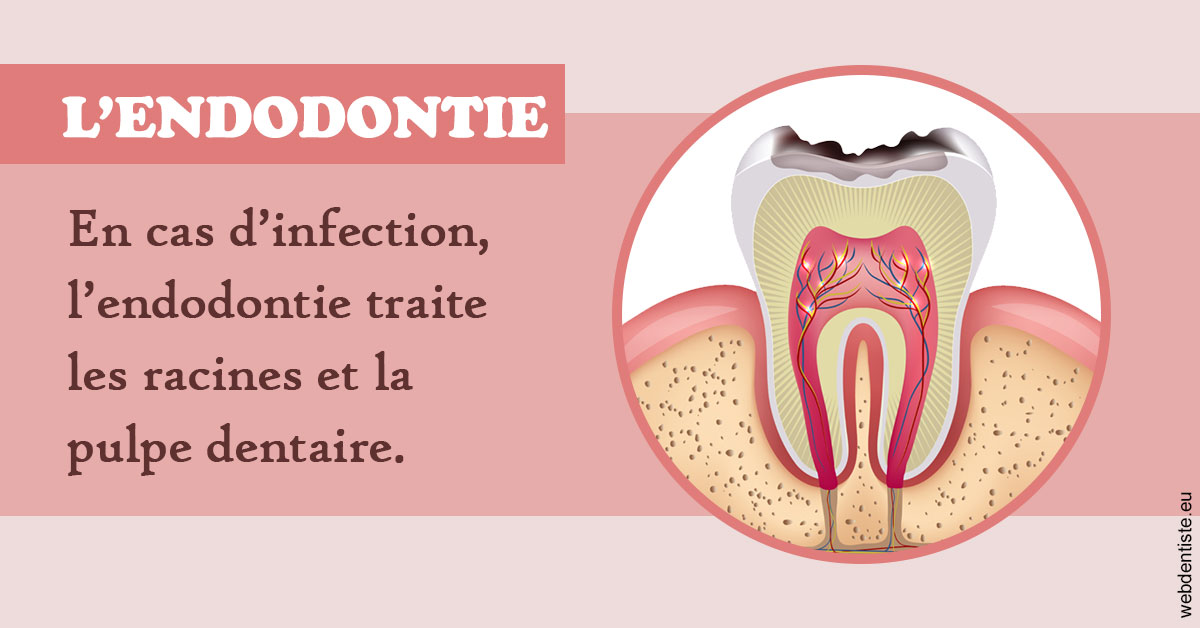 https://www.drigalnahmias.fr/L'endodontie 2